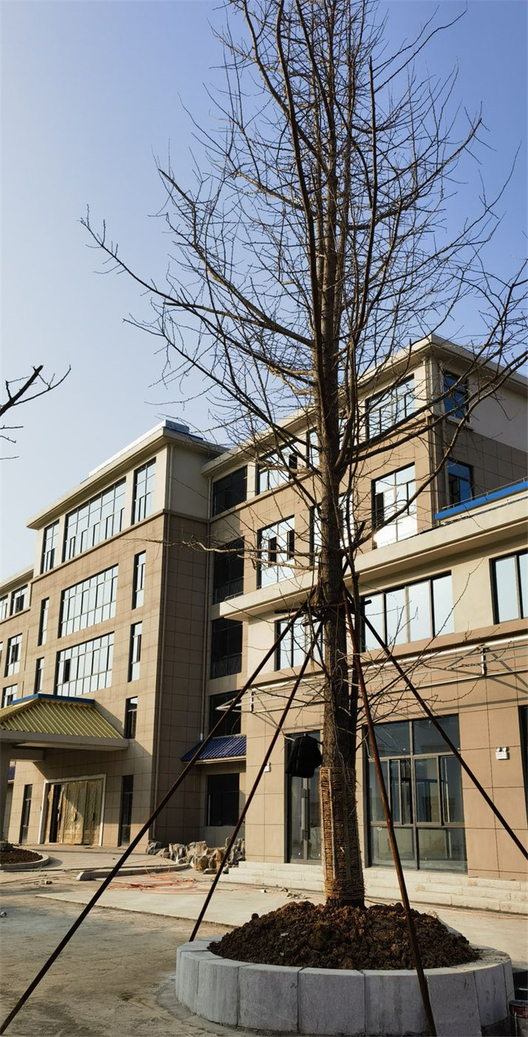 1673596790550806.jpg 103.jpg